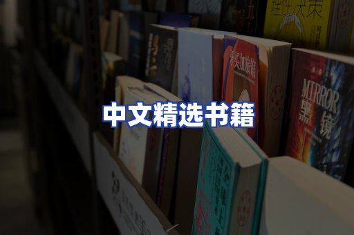 中文精选书籍